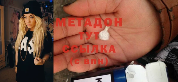 индика Гусев