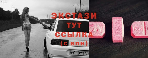 индика Гусев
