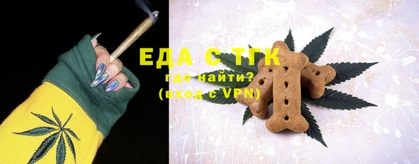 индика Гусев