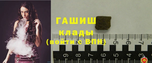 индика Гусев