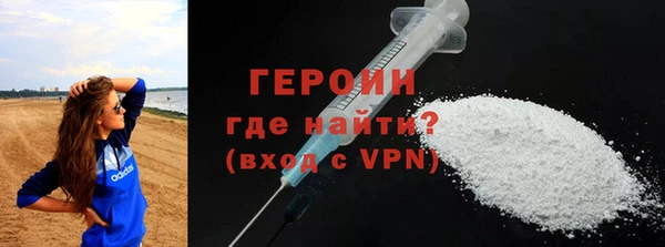 индика Гусев