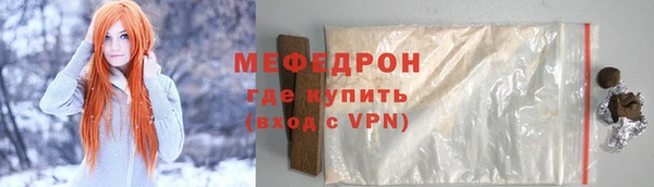 индика Гусев