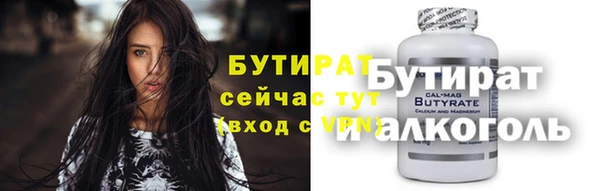 индика Гусев