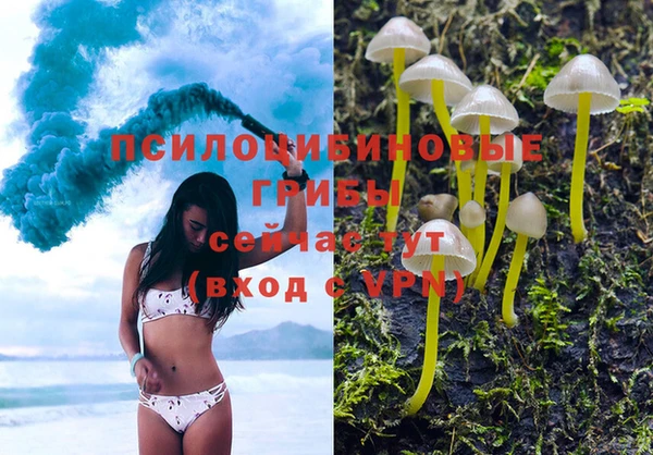 альфа пвп Гусиноозёрск