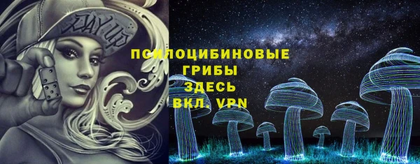 МДПВ Кукмор