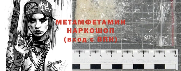 индика Гусев