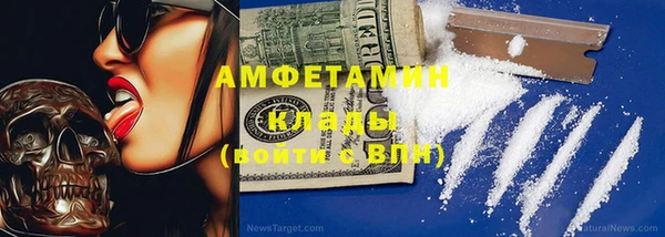 индика Гусев