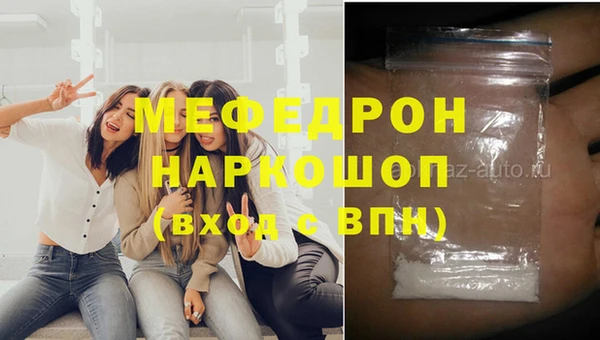 индика Гусев