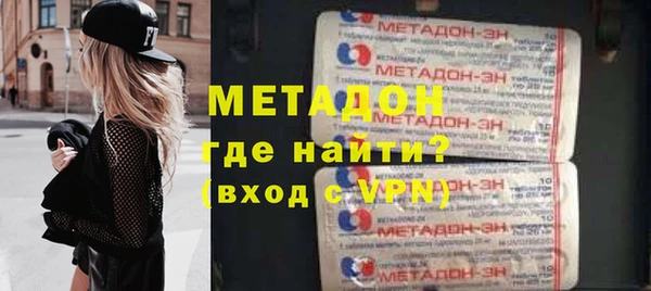 индика Гусев