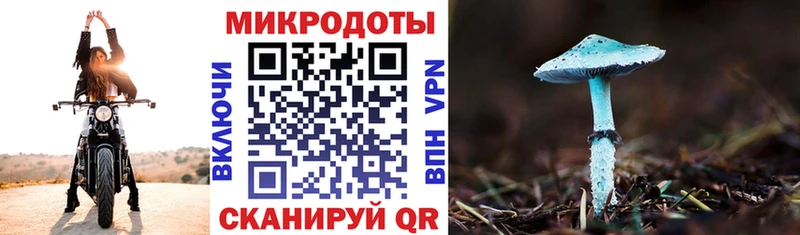 Галлюциногенные грибы Psilocybe  Еманжелинск 